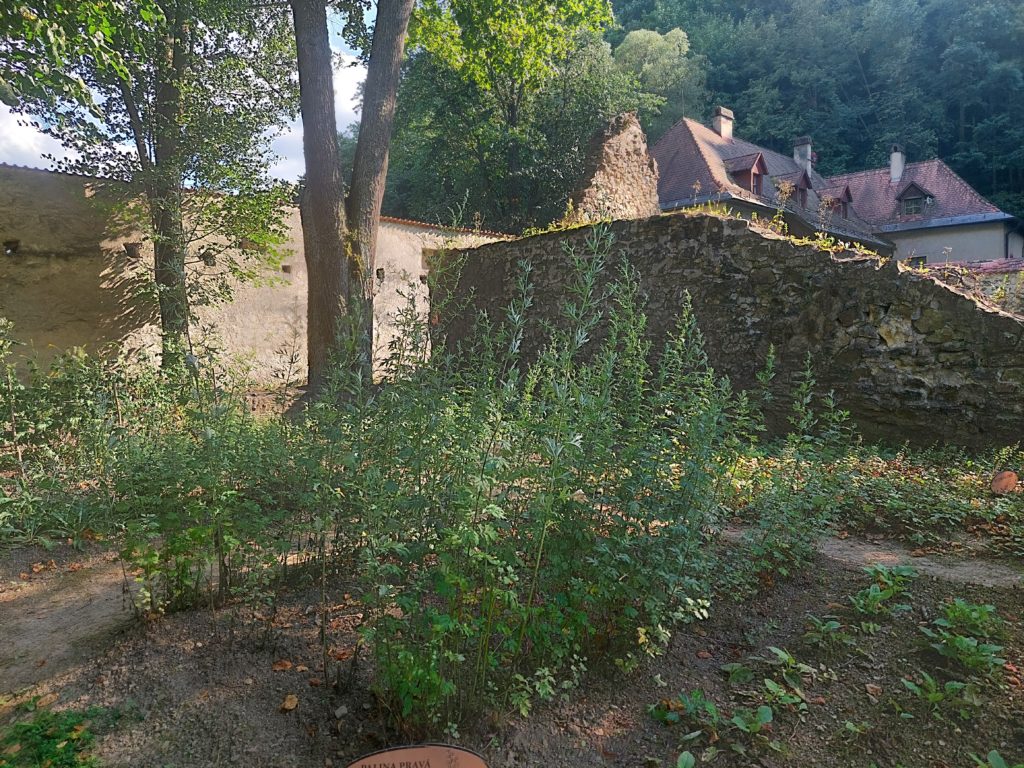 Czerwony Klasztor