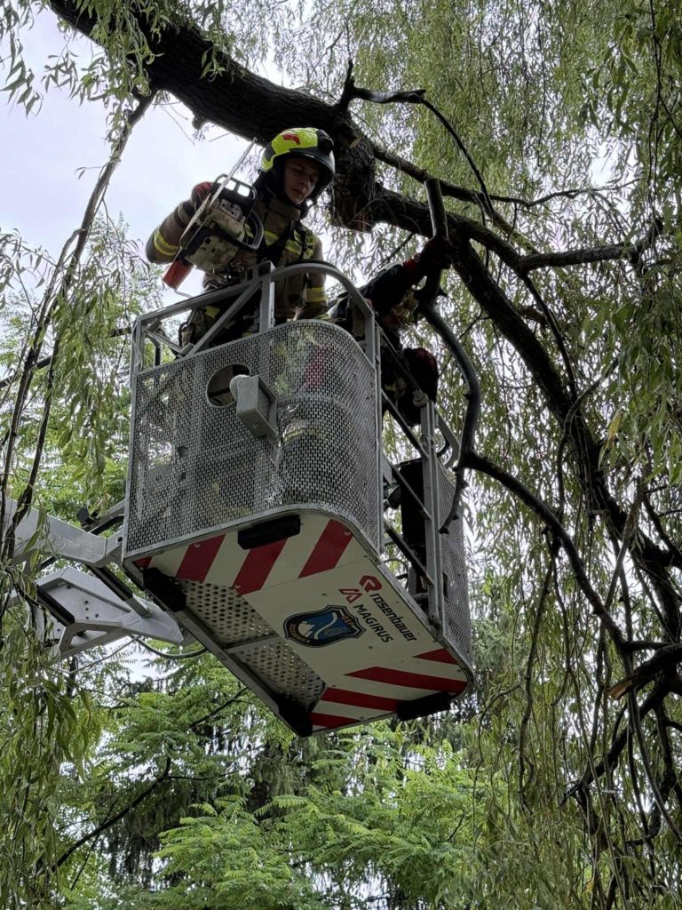 Strażak w koszu podnośnika
