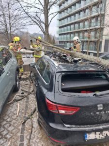 samochód osobowy przygnieciony przez drzewo, w tle strażący