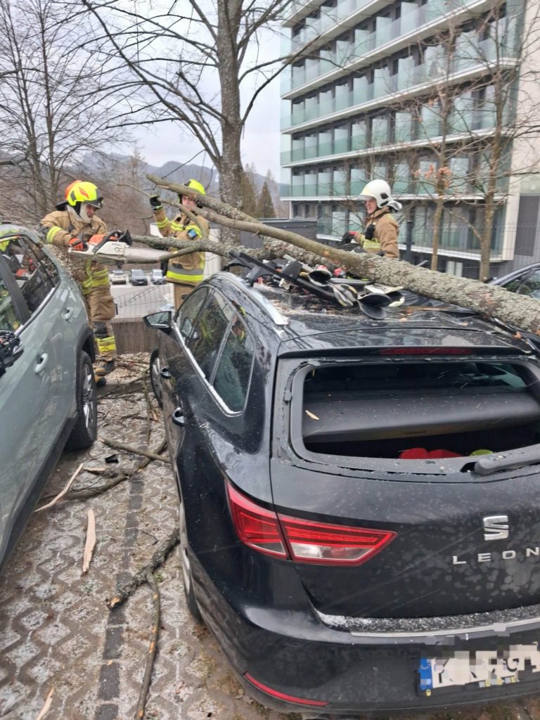 samochód osobowy przygnieciony przez drzewo, w tle strażący