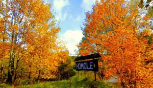 III miejsce: Julia Słowik z klasy 4a LO w Krościenku nad Dunajcem