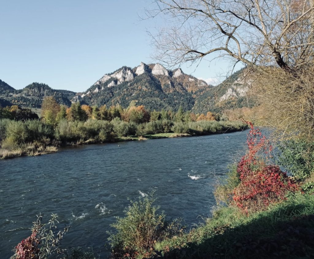 II miejsce Kacper Maśnica , LO w Krościenku nad Dunajcem