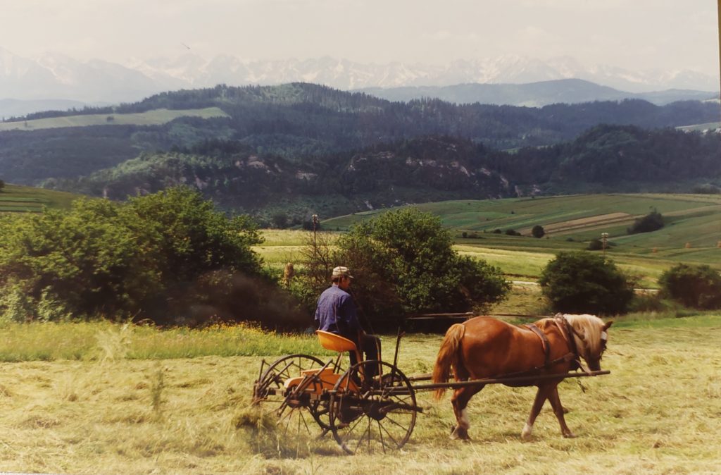 Pienińskie krajobrazy lat 90. XX w. fot. Andrzej Mikołajewicz