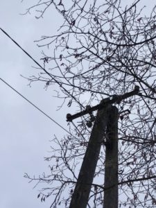 Słup energetyczny z drutami na tle niebieskiego nieba, gałężie drzew obok